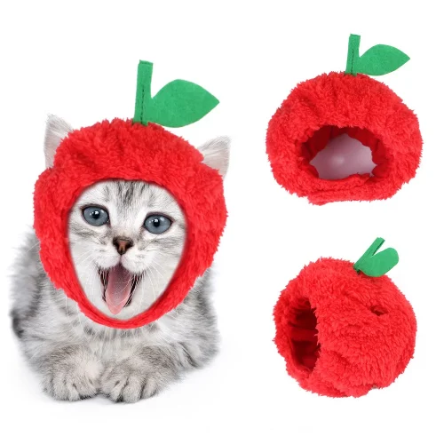 Charming Pet Apple Hat