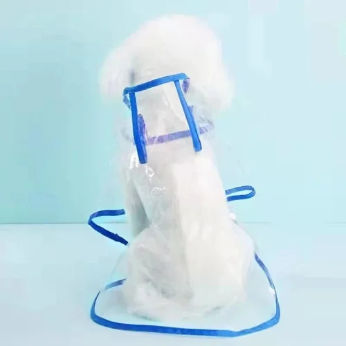 Dog Puppy Transparent Raincoat Hooded