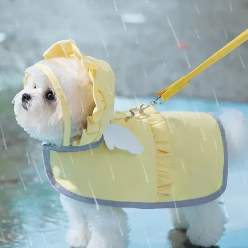 Dog Angel Raincoat  Waterproof Cape Style Poncho