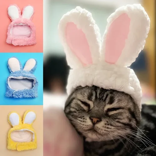 Cute Rabbit Ears Cap for Cats