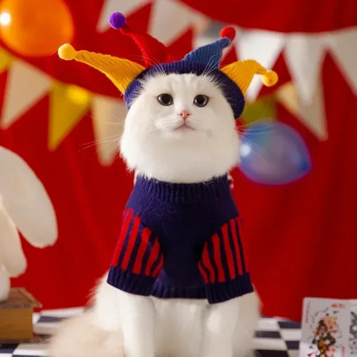 Cute Pet Dog Cat Sweater and Hat